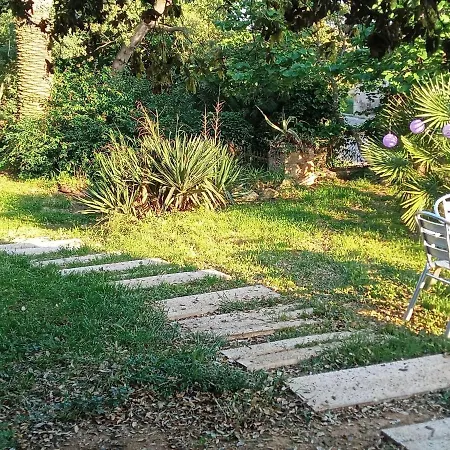 Rustic Les Corts Del Mas Virrei