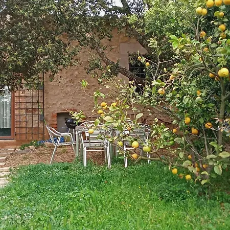Rustic Les Corts Del Mas Virrei Holiday home *