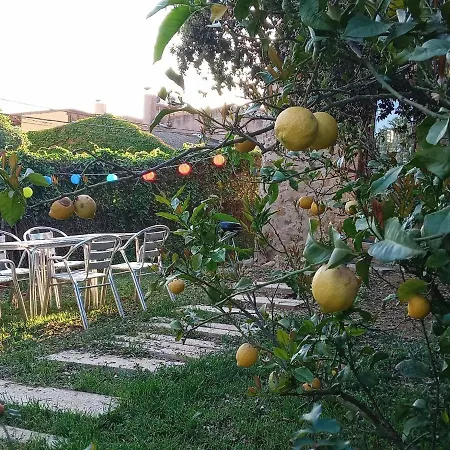 Rustic Les Corts Del Mas Virrei
