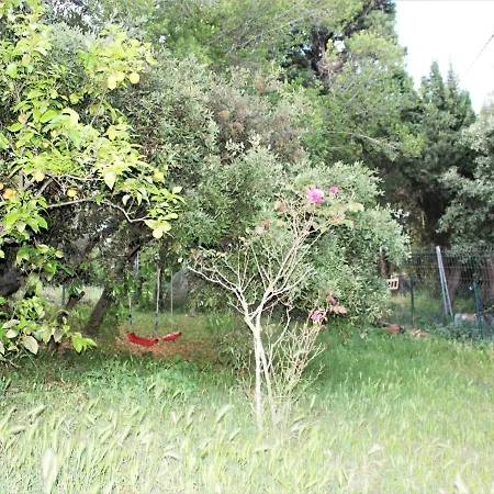 Rustic Les Corts Del Mas Virrei *
