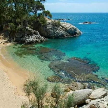 Rustic Les Corts Del Mas Virrei Casa vacanze *